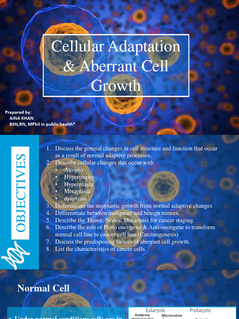 Cellular Adaptation & Aberrant Cell Growth | PDF | Neoplasms | Cancer