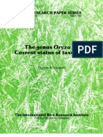 Download IRPS 138 The genus Oryza L Current status of taxonomy by International Rice Research Institute SN74863197 doc pdf
