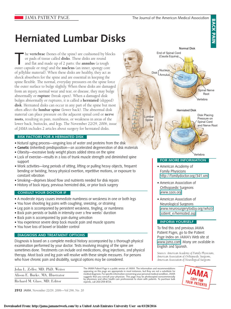 Understanding Herniated Lumbar Disks | PDF | Vertebral Column | Back Pain