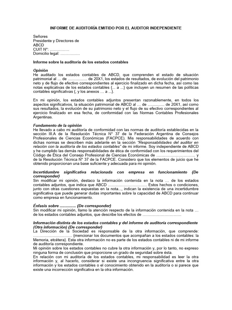Informe Auditoría RT 53 ABCD | PDF | Auditoría | Preocupación continua