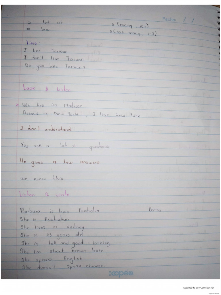 Ingles Lesson 5 | PDF