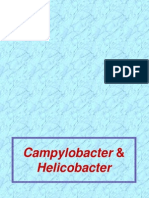 Campylobacter Helicobacter