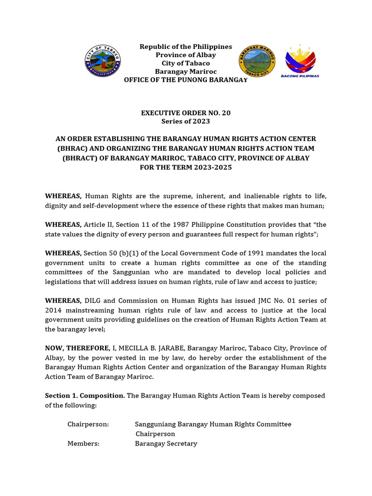Barangay Human Rights Action Team | PDF | Human Rights | Political Science