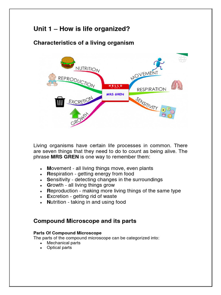 MRS GREN: Life Processes Explained | PDF | Osmosis | Virus