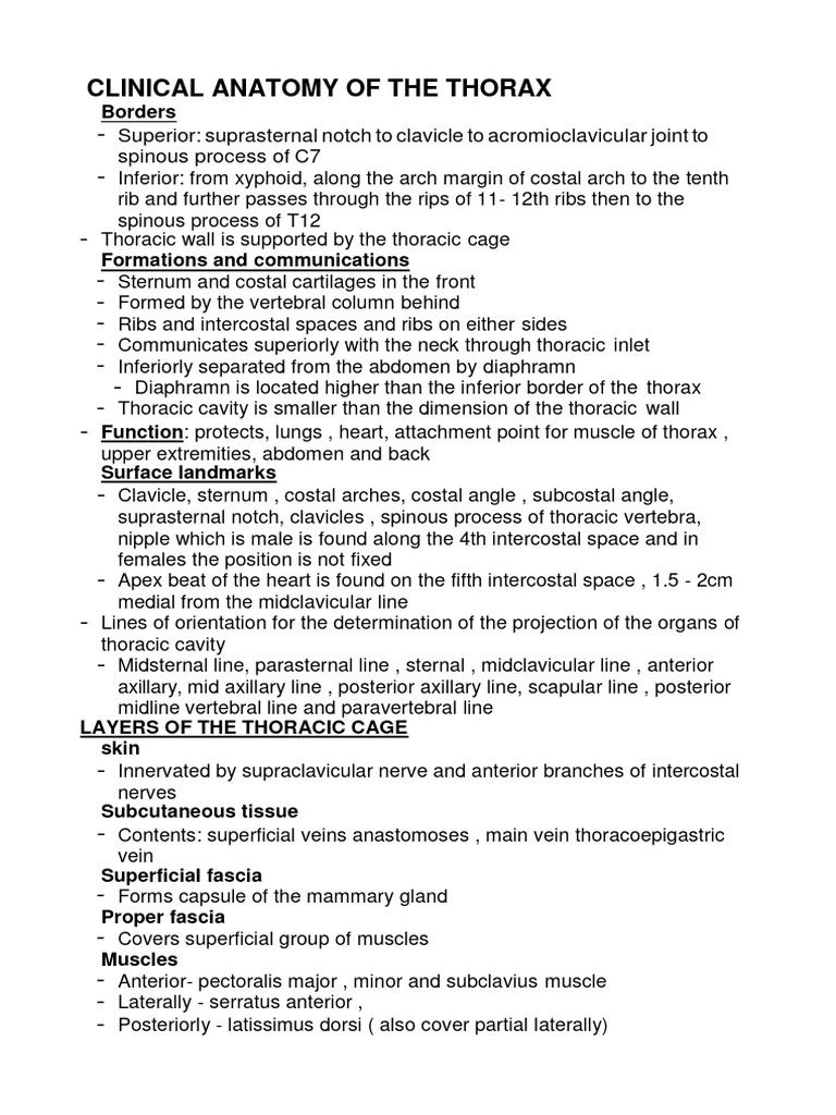 Anatomy of the Thoracic Cavity | PDF | Aorta | Lung
