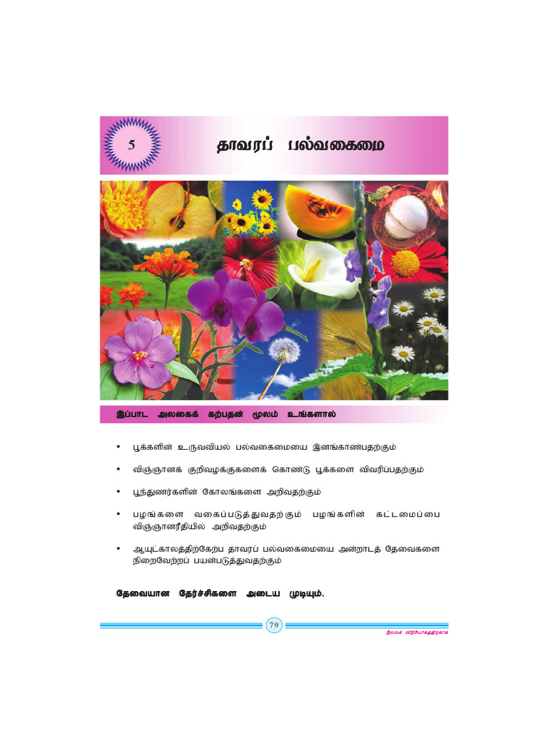 cha 5 rose | PDF | Branches Of Botany | Plants
