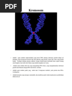Download Makalah Dna by mutiarasundasari SN74880241 doc pdf