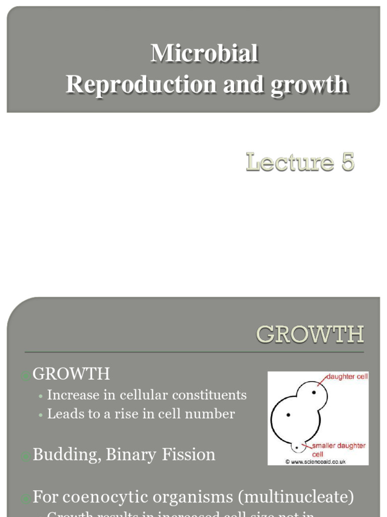 Microbial Growth and Reproduction Dynamics | PDF | Microorganism ...