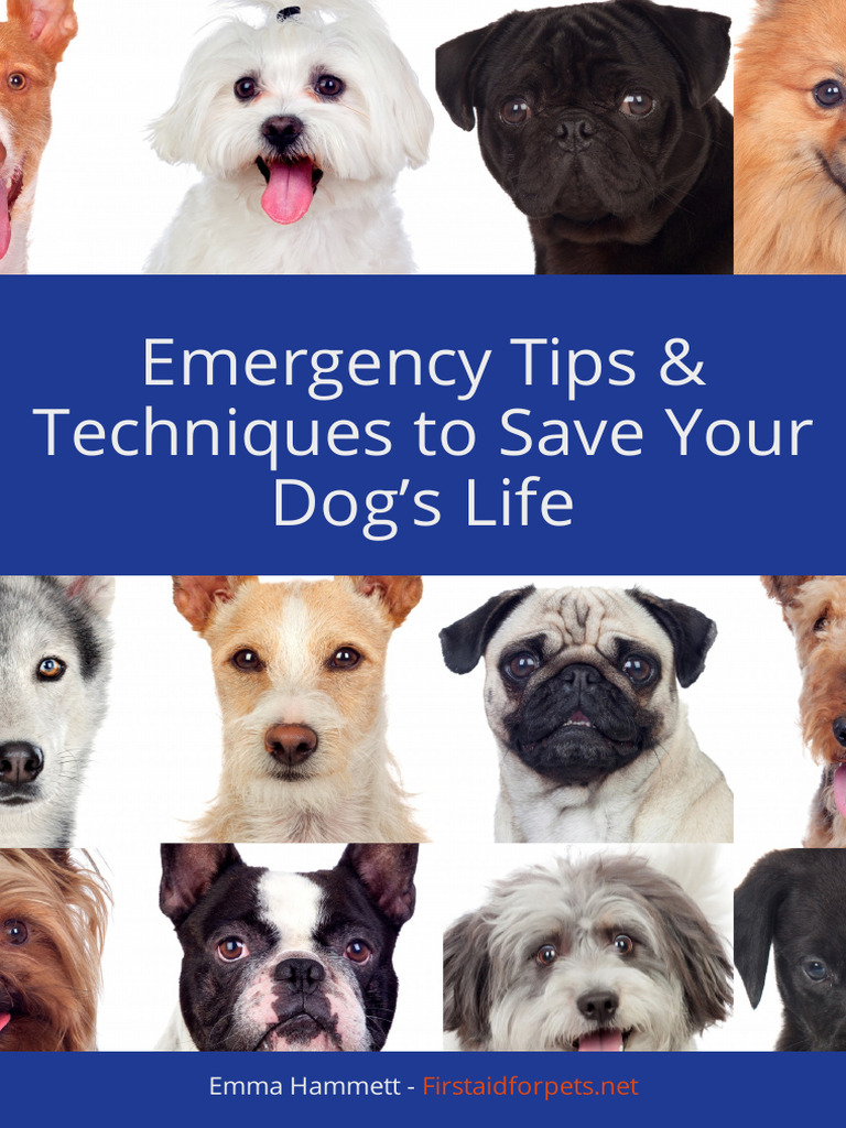 Essential Emergency Tips for Dogs | PDF | Pulse | Dogs