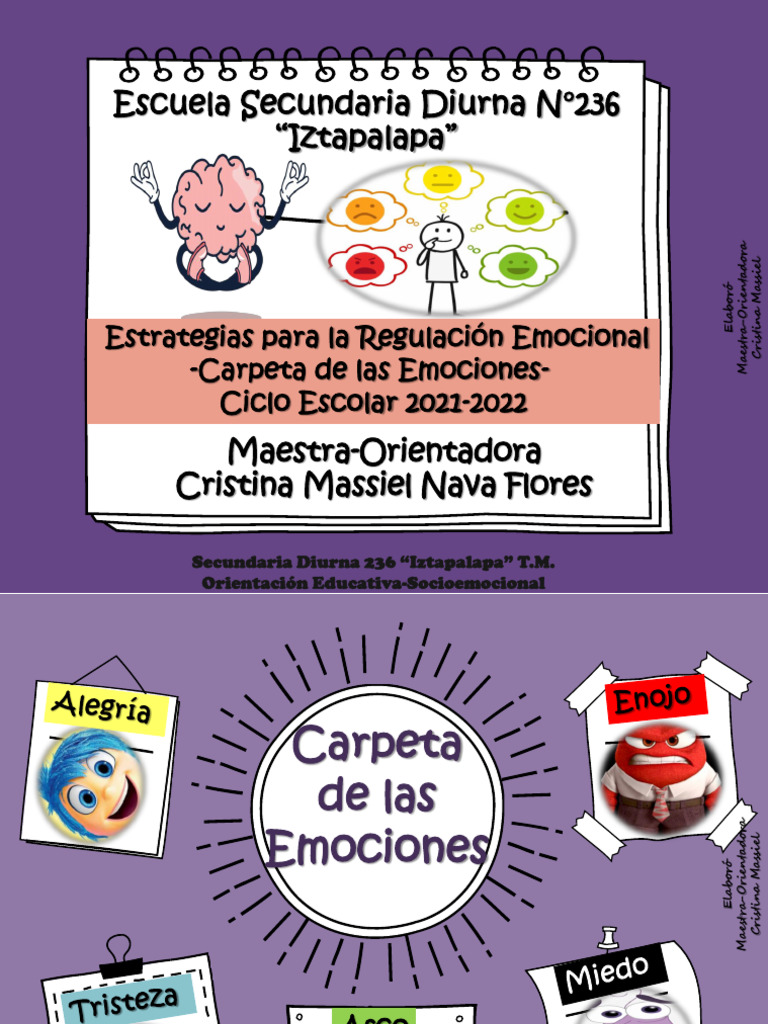 ESTRATEGIAS PARA LA REGULACion Emocional | PDF | Las emociones ...