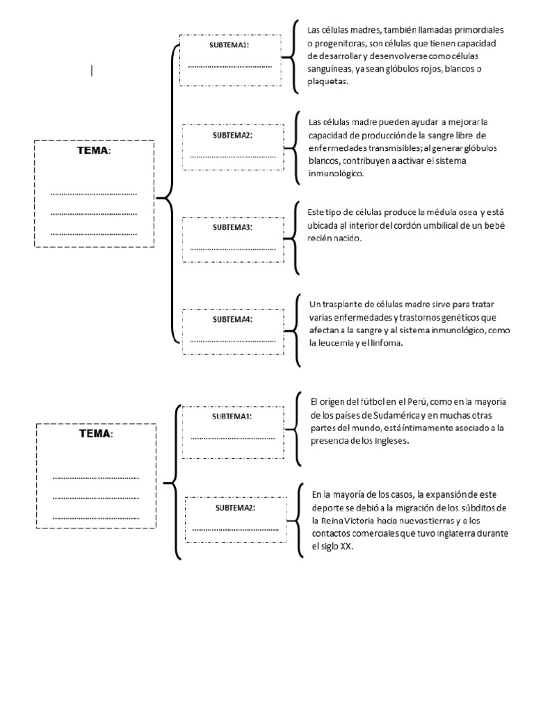 Ejercicios de Tema y Subtema | PDF