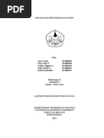 Download Isolasi Dan Identifikasi by dgoldha SN74887971 doc pdf