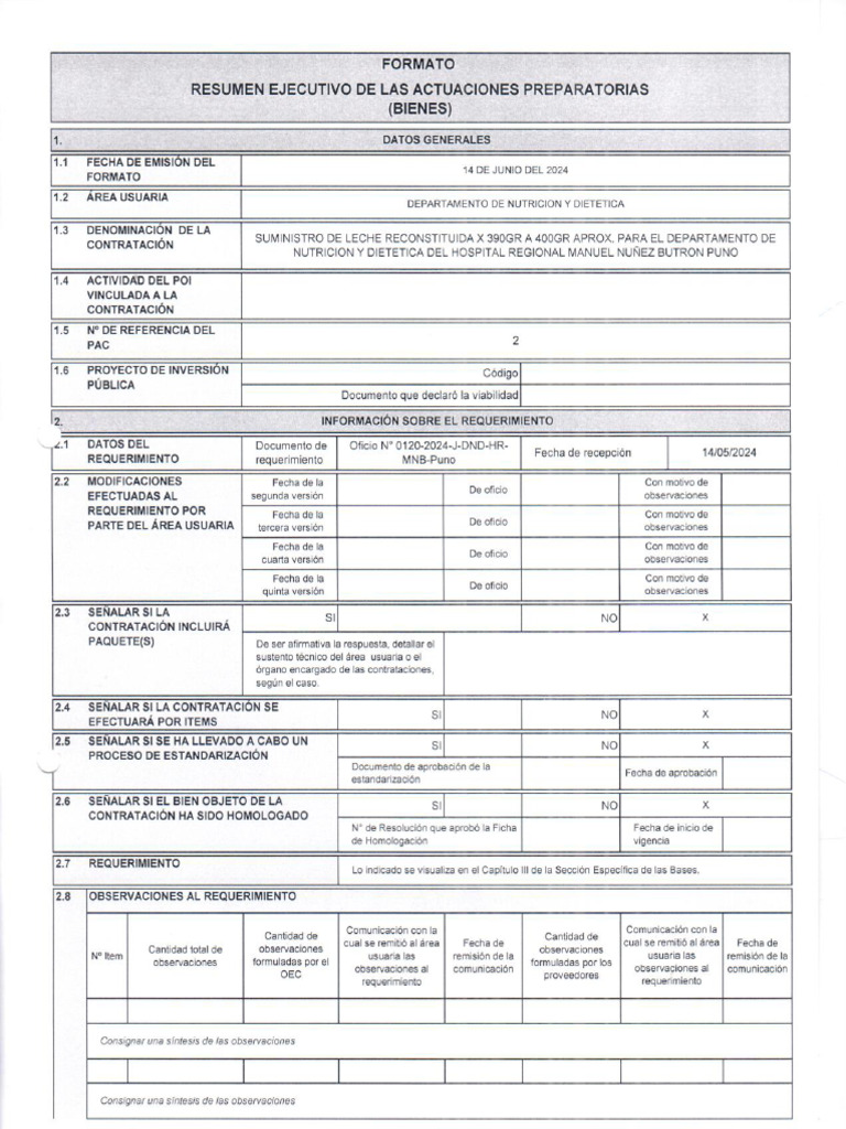 Resumen+ejecutivo+as+06 20240701 151900 722 | PDF