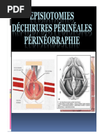 anatomie-du-p-rin-e-f-minin-pdf-anatomie-bassin-anatomie