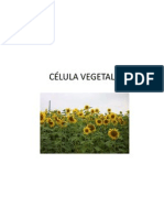 CÉLULA VEGETAL Aula 9