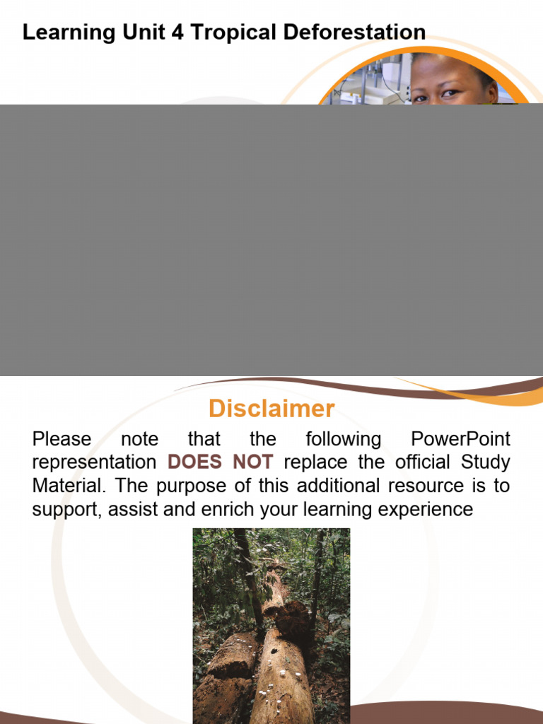 Understanding Tropical Deforestation | PDF | Deforestation | Forests