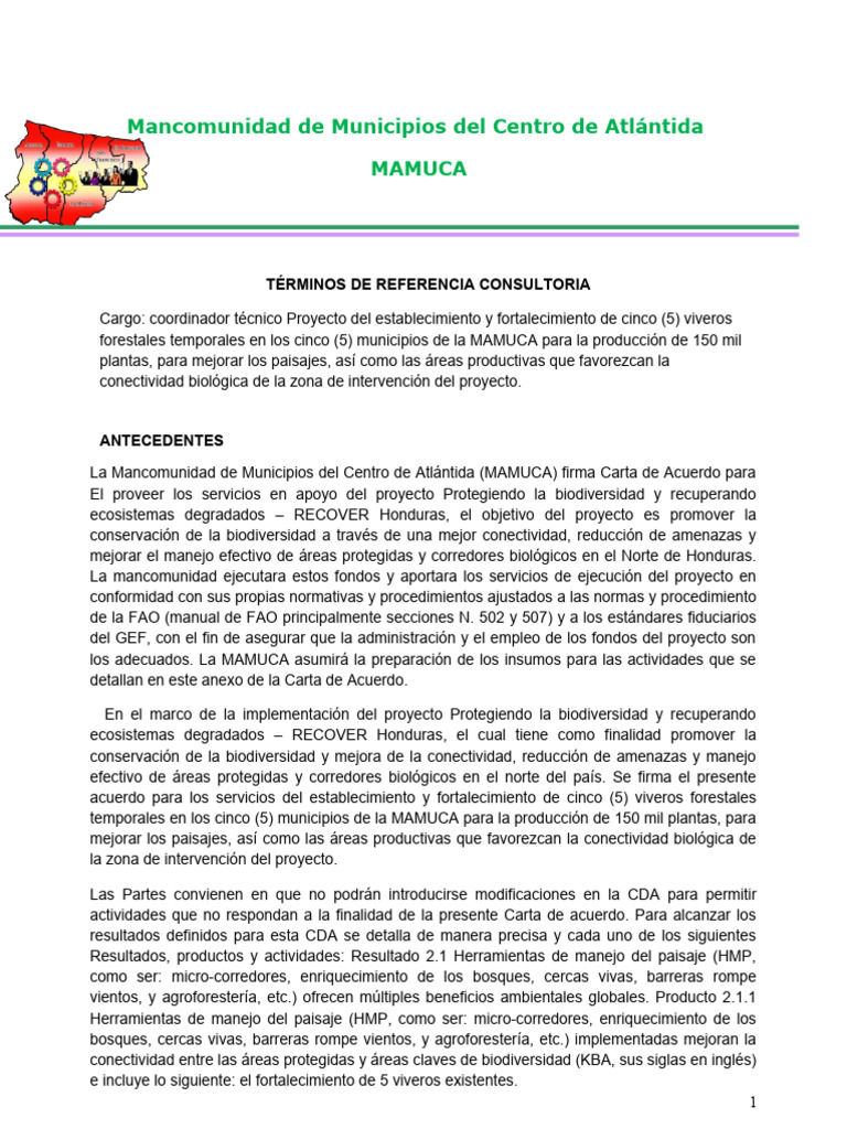 Coordinación de Viveros en MAMUCA | PDF | Biodiversidad | Evaluación
