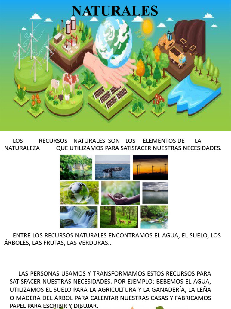 Los Recursos Naturales | PDF | Sustentabilidad | Entorno natural