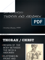 Iap Thorax and Abdomen