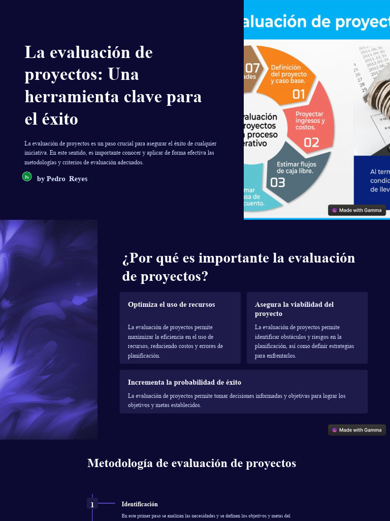 La Evaluacion de Proyectos Una Herramienta Clave para El Exito | PDF ...