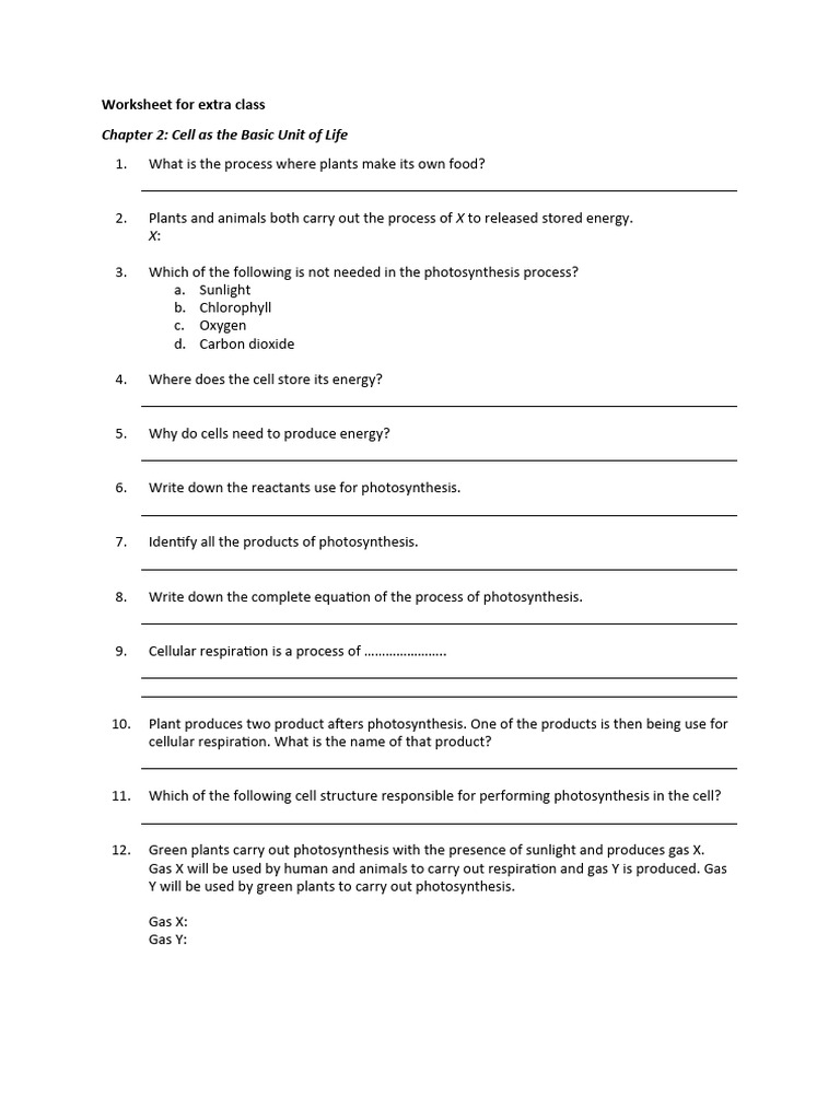 Worksheet for extra class pdf photosynthesis menstrual cycle
