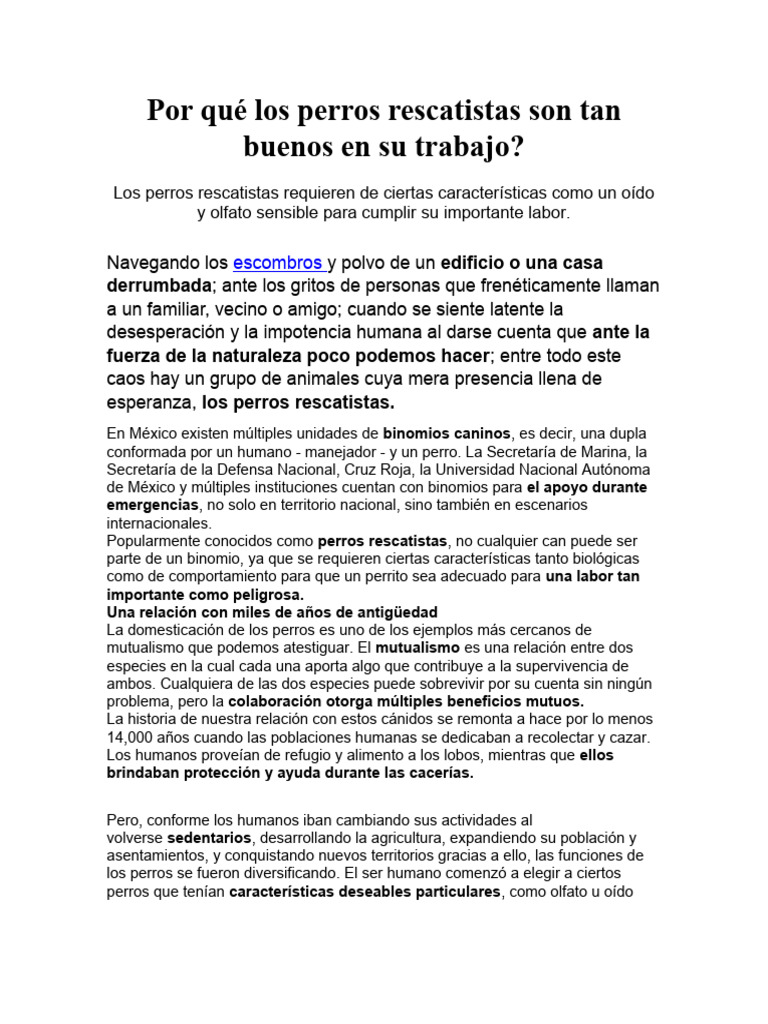 Noticia pdf