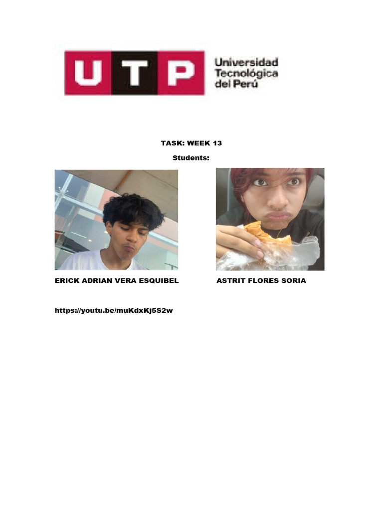 Week 13 Task Overview for Students | PDF