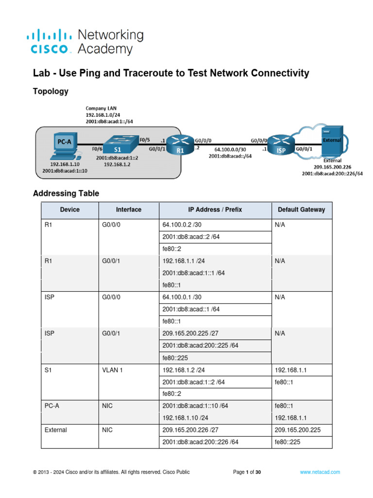 Testing Network Connectivity with Ping & Traceroute | PDF | Internet ...