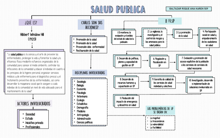 Acciones Clave en Salud Pública | PDF | Salud pública | Cuidado de la salud