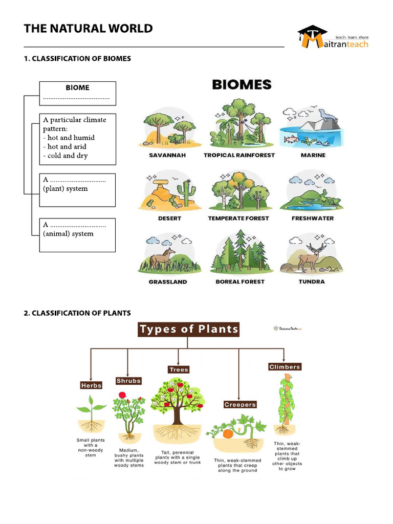 WHAT DOES NATURAL MEAN intelligence overview