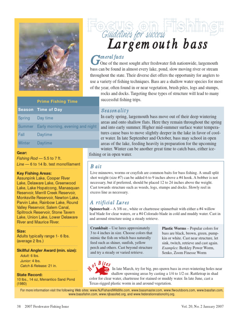 focus_on_fishing_lmb | PDF | Angling | Fish
