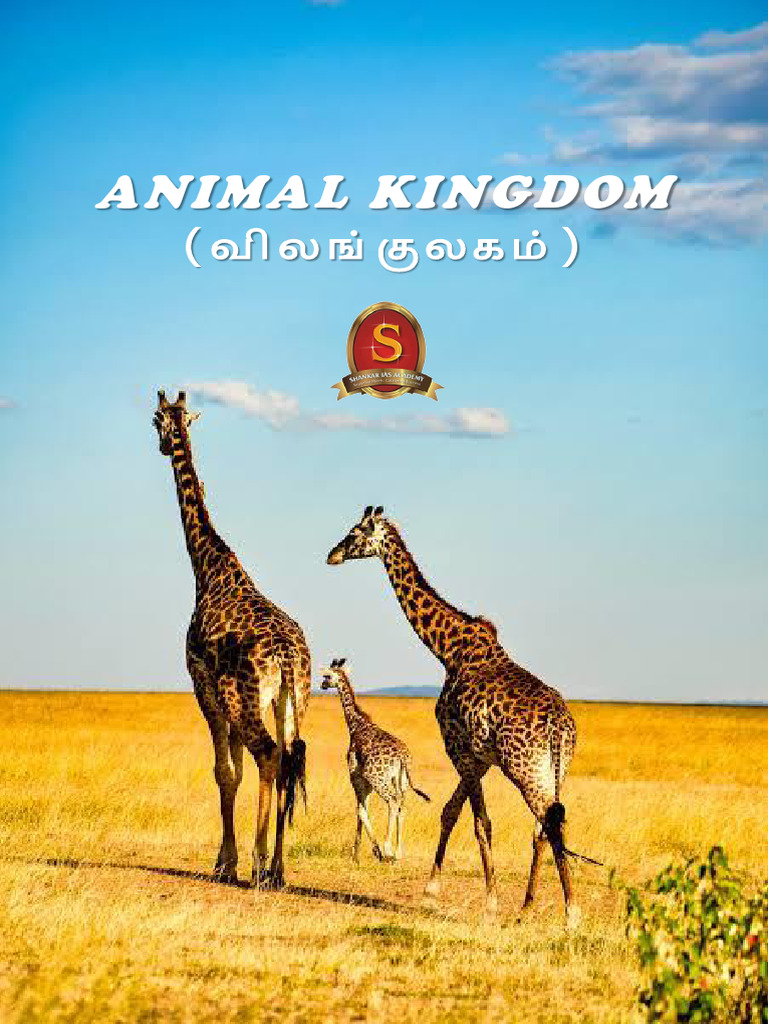 Animal visual data 2