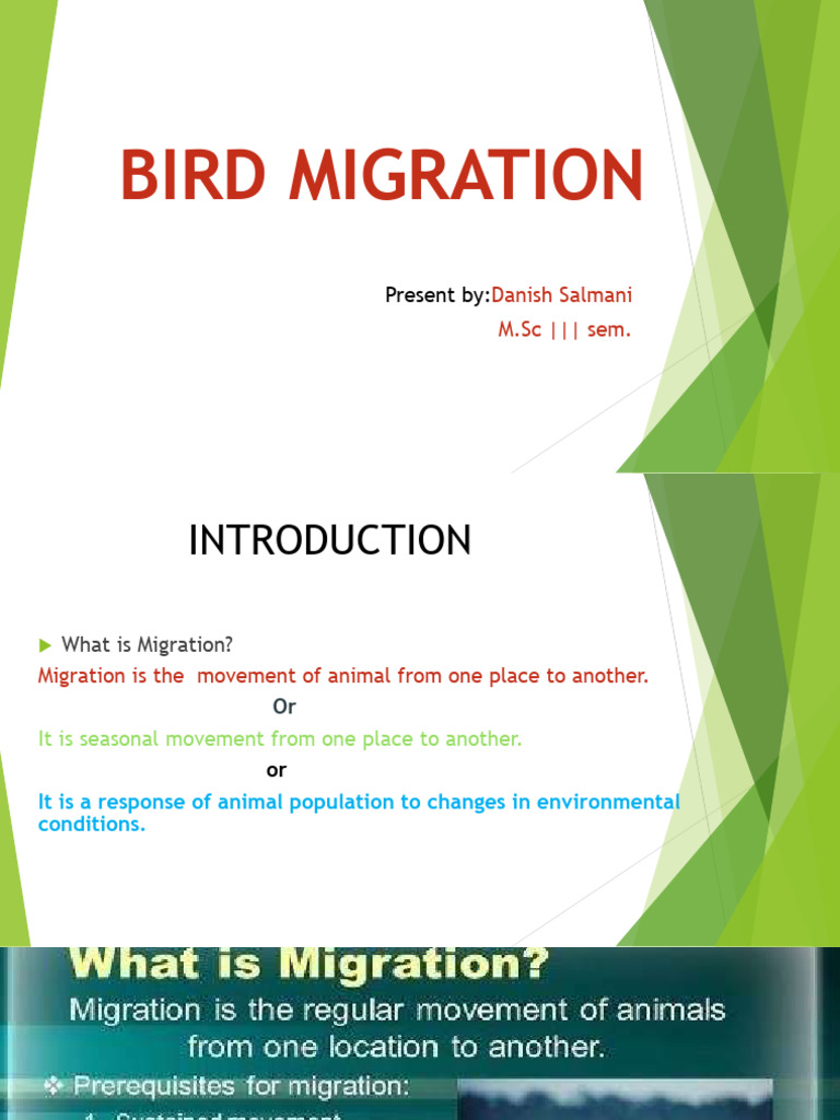 Understanding Bird Migration Types | PDF | Bird Migration | Birds