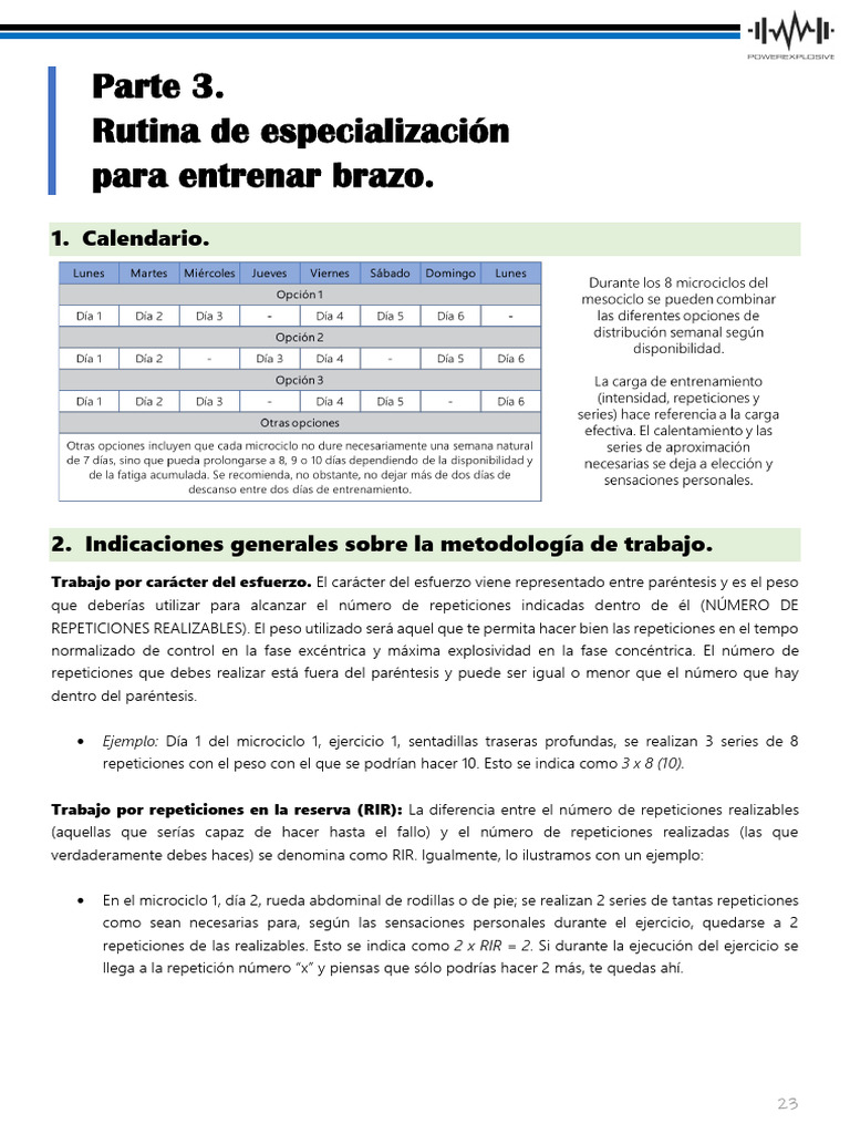 Rutina de Entrenamiento para Brazos | PDF