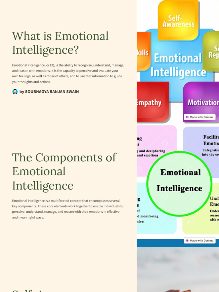 What Is Emotional Intelligence | PDF | Emotional Intelligence ...