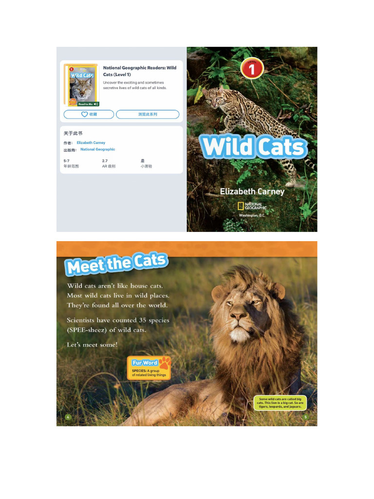 32.wild Cats | PDF