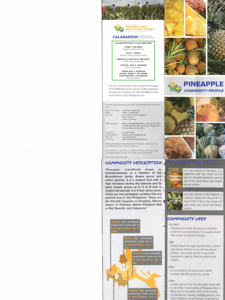 Pineappple Commodity Profile | PDF