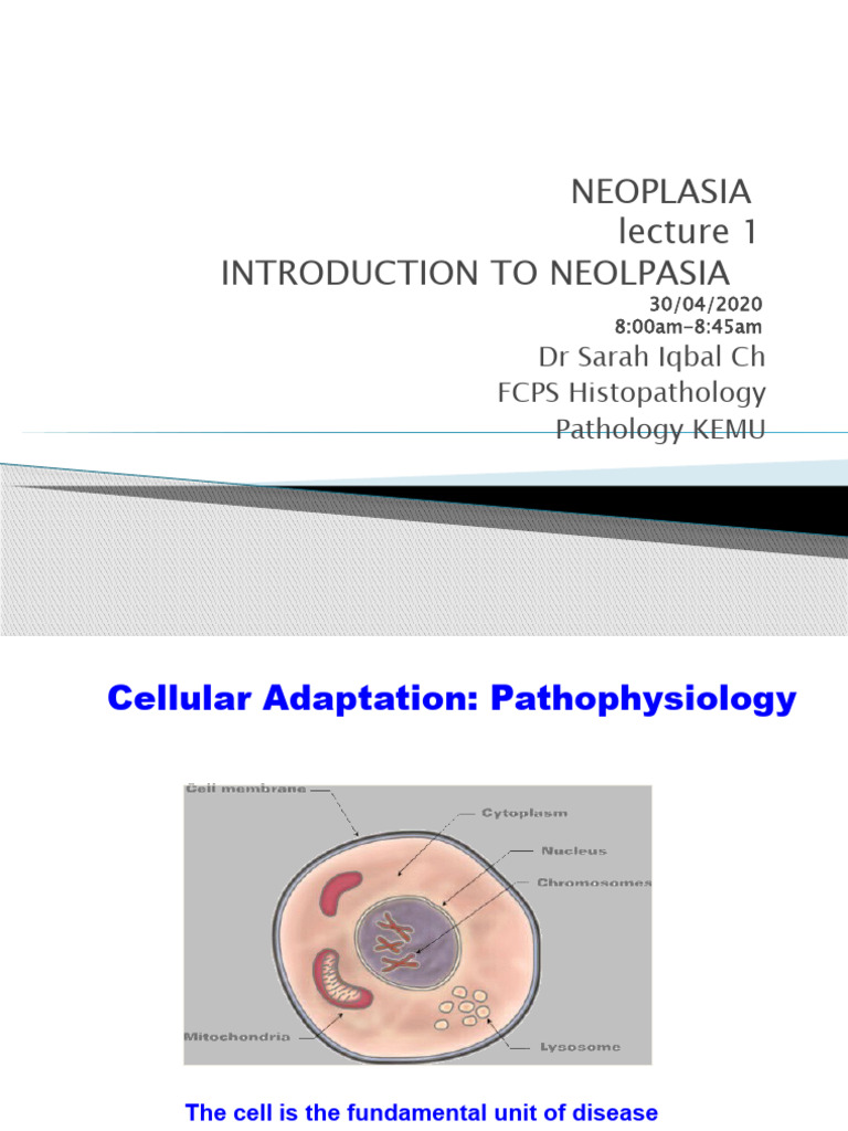 Introduction To Neoplasia Lecture 1 Pdf Neoplasms Benign Tumor
