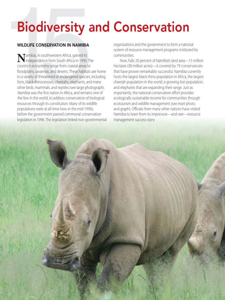 Namibia's Successful Wildlife Conservation | PDF | Conservation Biology ...