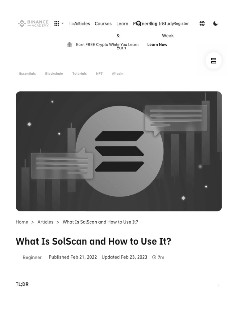 What Is SolScan and How To Use It | PDF