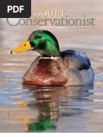 Download Missouri Conservationist December 2011 by AmmoLand Shooting Sports News SN74908815 doc pdf