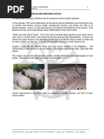 Classifying Swine Breeds for Production | PDF | Pig | Livestock
