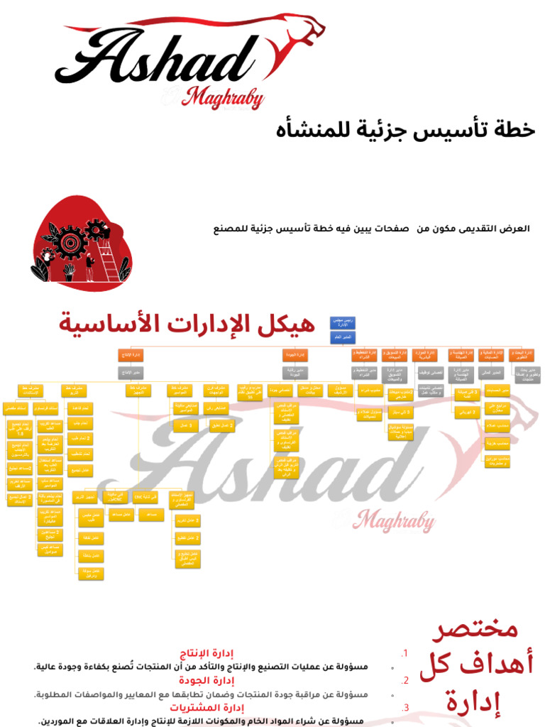 خطة عمل لمصنع ASHAD ElMaghraby | PDF
