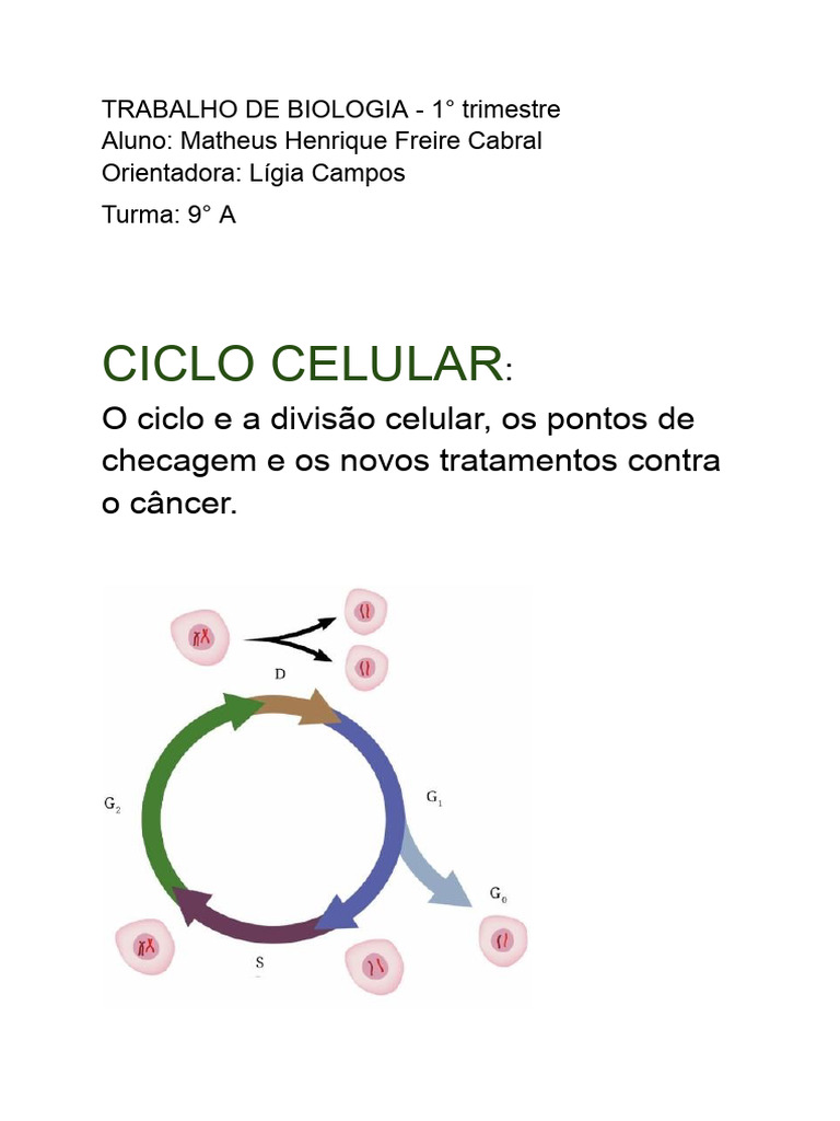 Ciclo Celular | PDF | Célula (Biologia) | Ciclo de célula