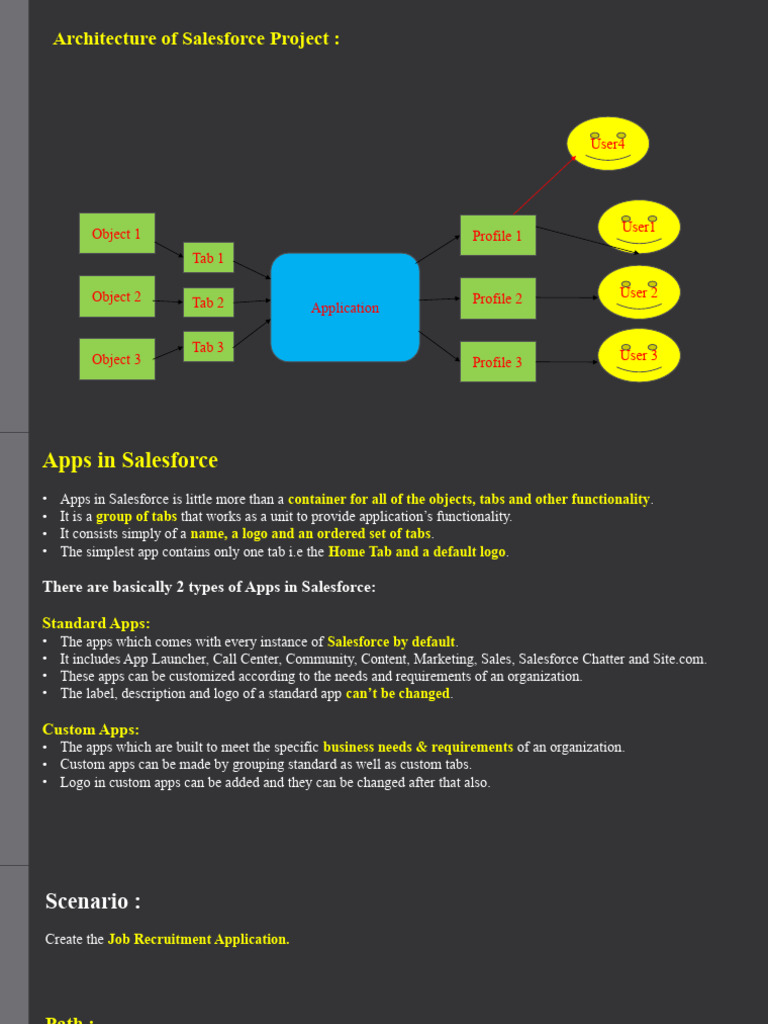 App Objects and Fields | PDF | Mobile App | Software Engineering