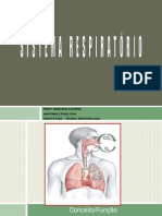 Anatomia e fisiologia do sistema respiratório