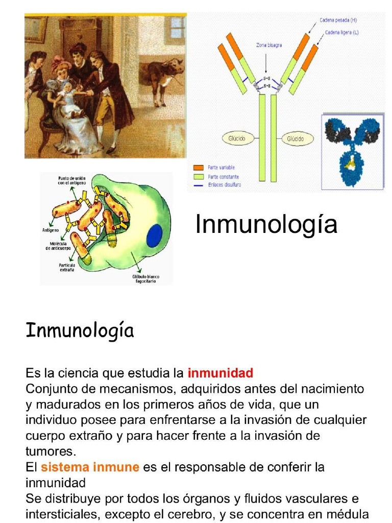 Tema 3 Inmunologia | PDF