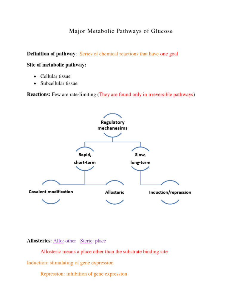 Major Metabolic Pathways of Glucose - T432 | PDF | Glycolysis ...