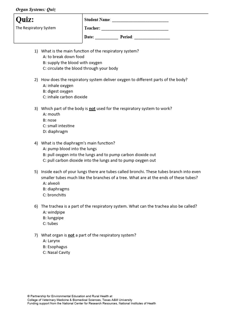Respiratory System Quiz PDF