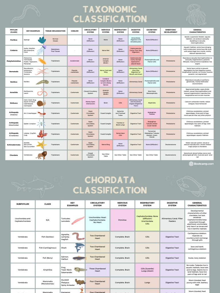 TAXONOMY A Z intelligence overview